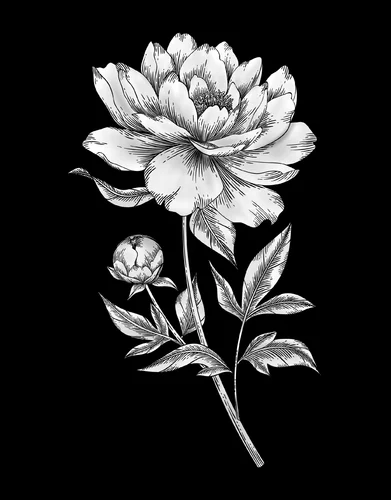 Цветок 040 (пион)